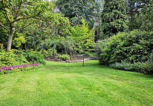 Optimiser l'expérience du jardin à Bradiancourt
